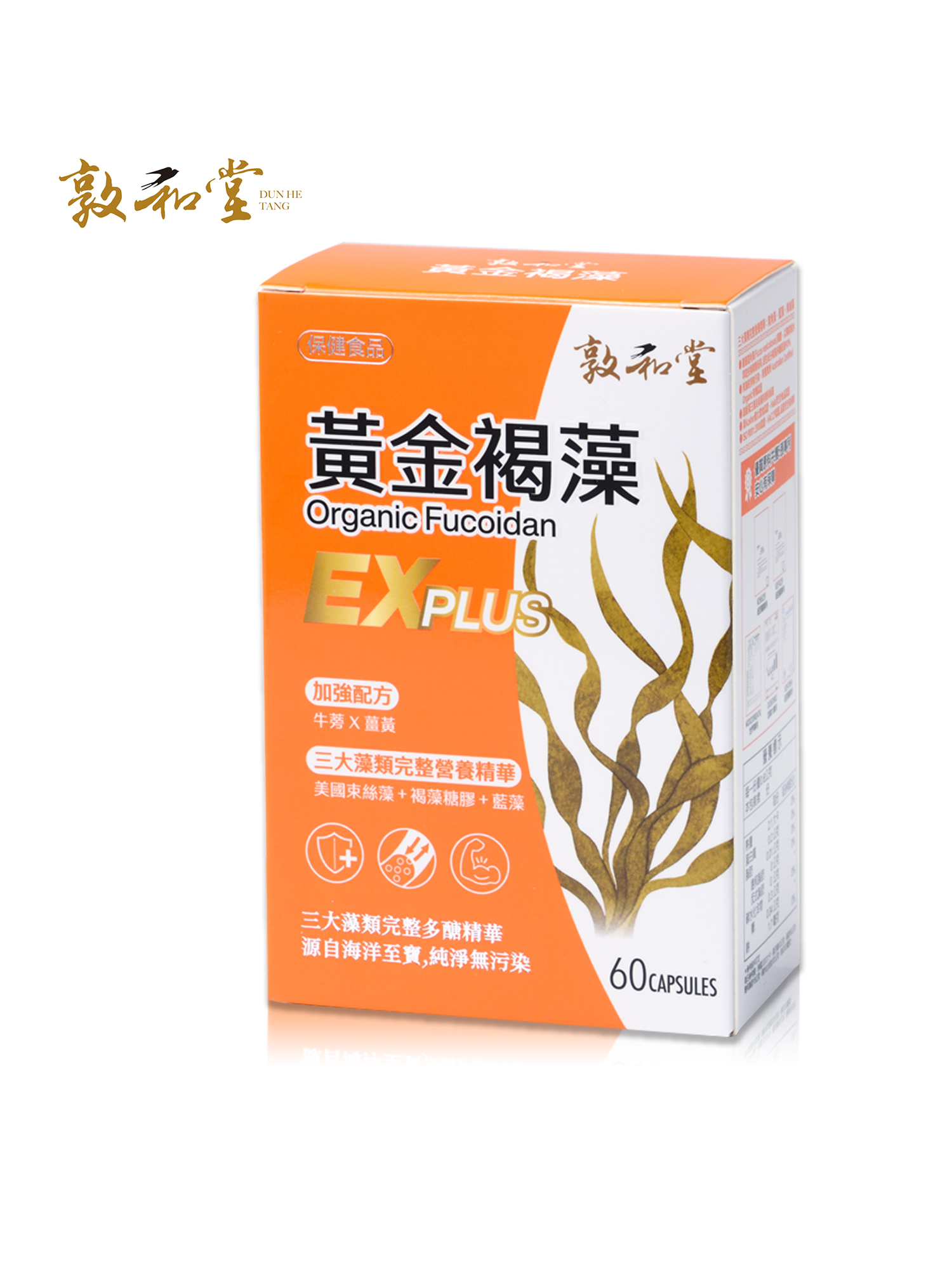 敦和堂 黃金褐藻EX Plus 60粒｜三大褐藻精華．防護有感升級