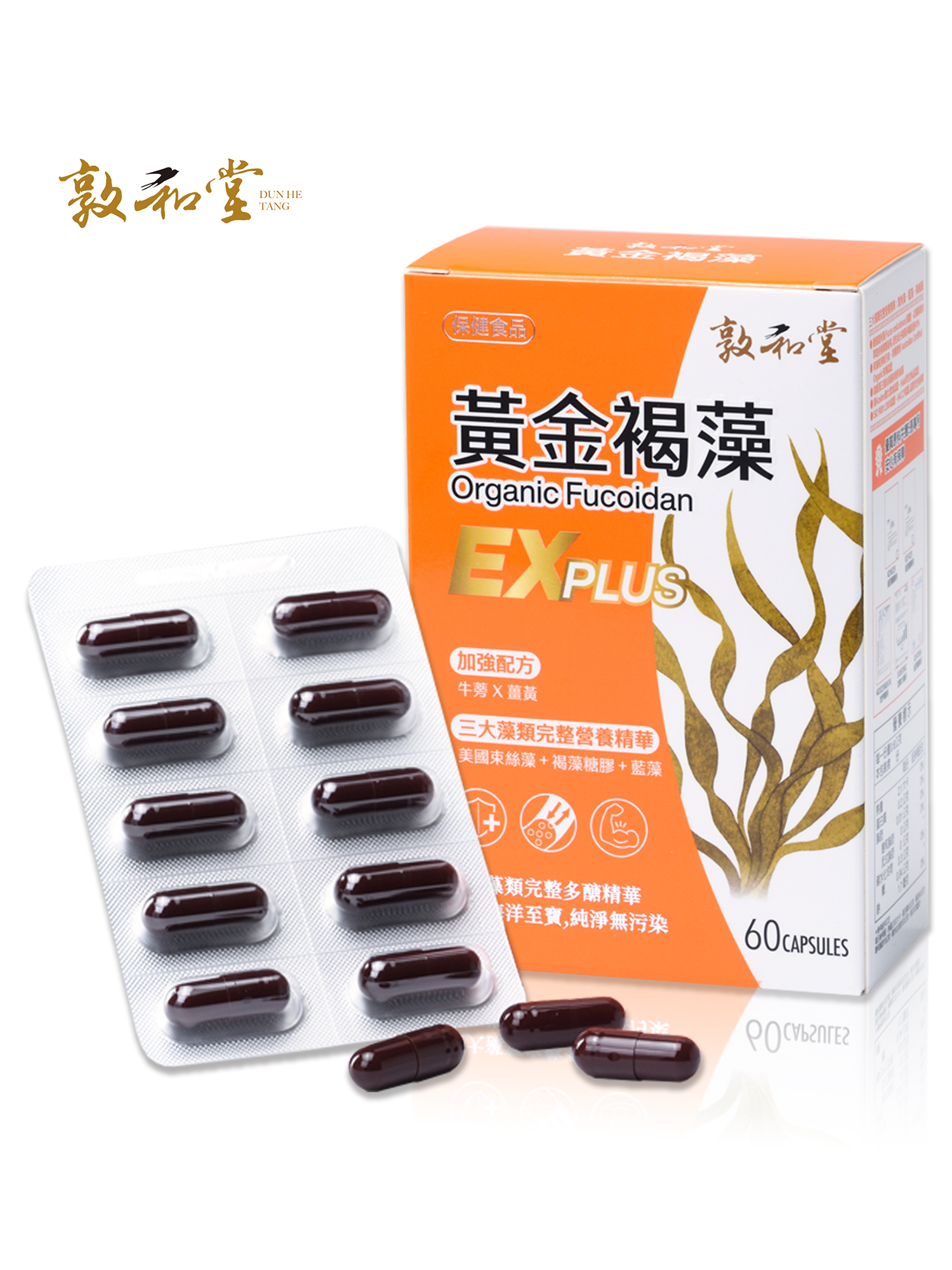 敦和堂 黃金褐藻EX Plus 60粒｜三大褐藻精華．防護有感升級