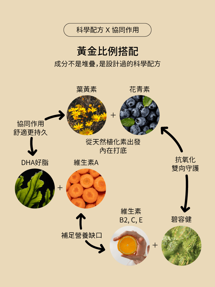 視寶力根據AREDS2臨床經驗法則配製而成-CHEGO營養補給