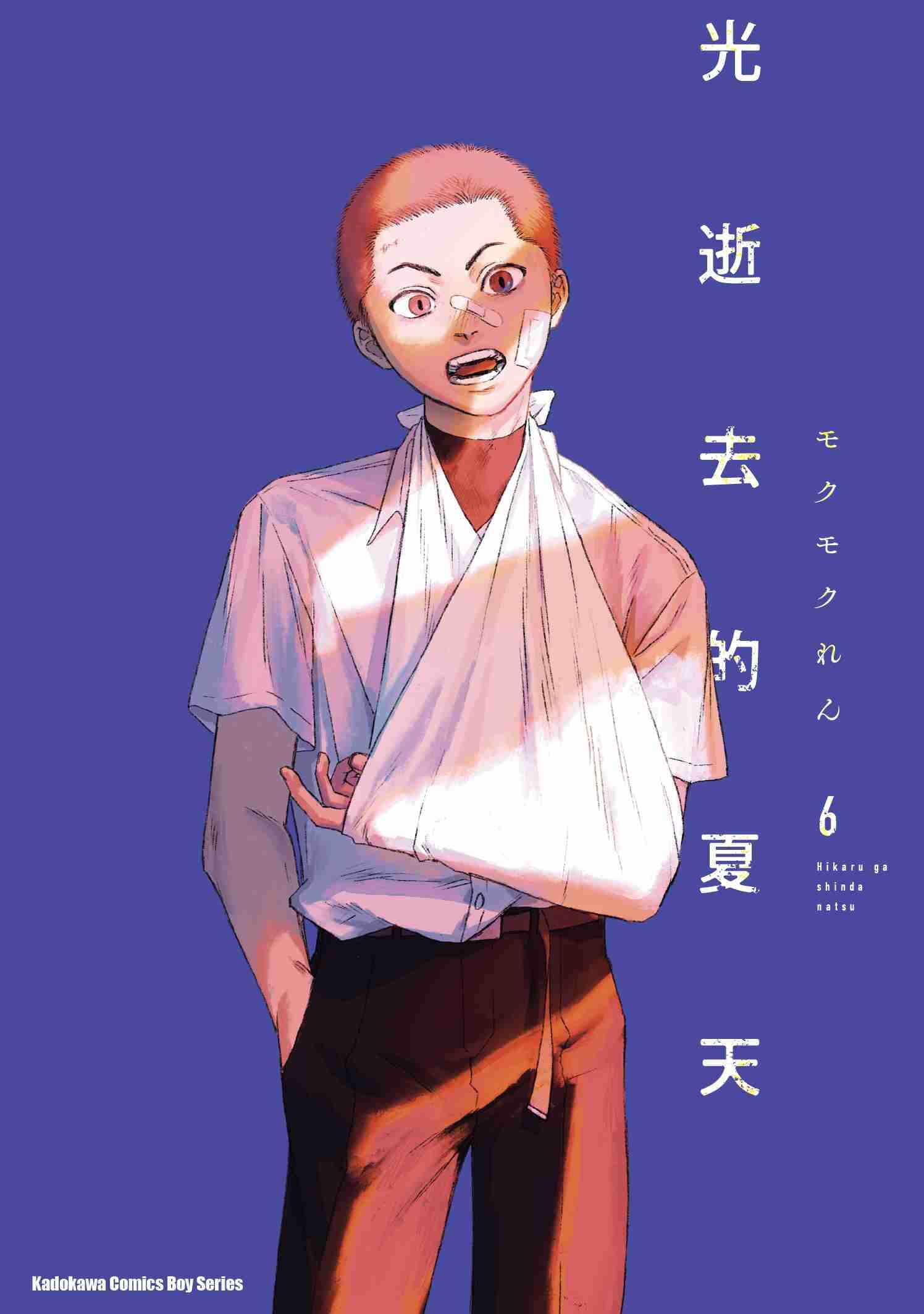 光逝去的夏天 (6)