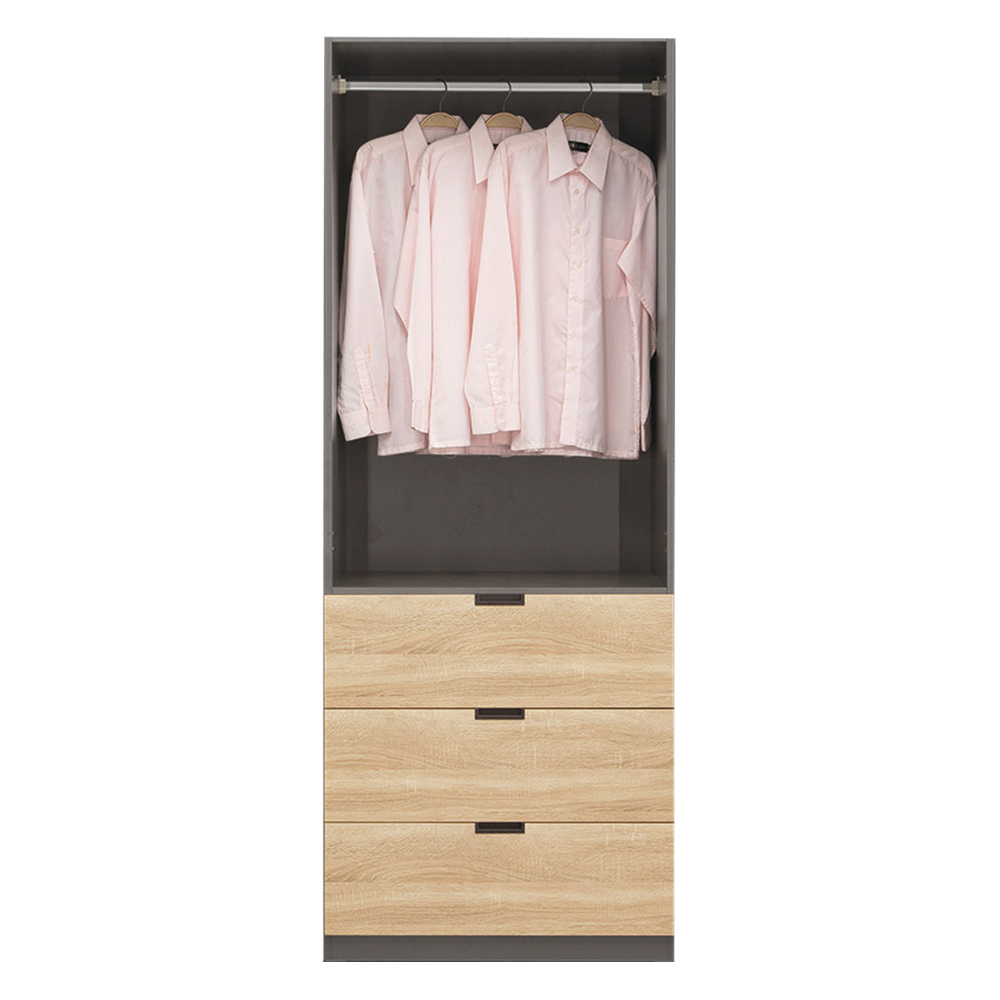 尼亞德2.5尺二門三抽衣櫃(單吊桿)