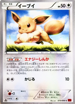 POKEMON JAPANESE XY3 075/096 C