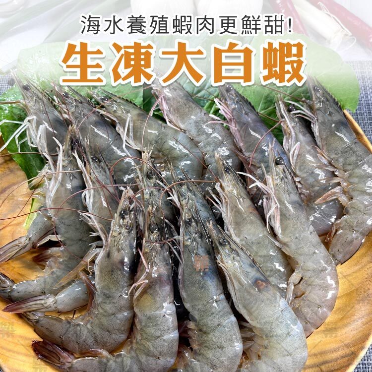 海水養殖馬來西亞生凍大白蝦(31/35)