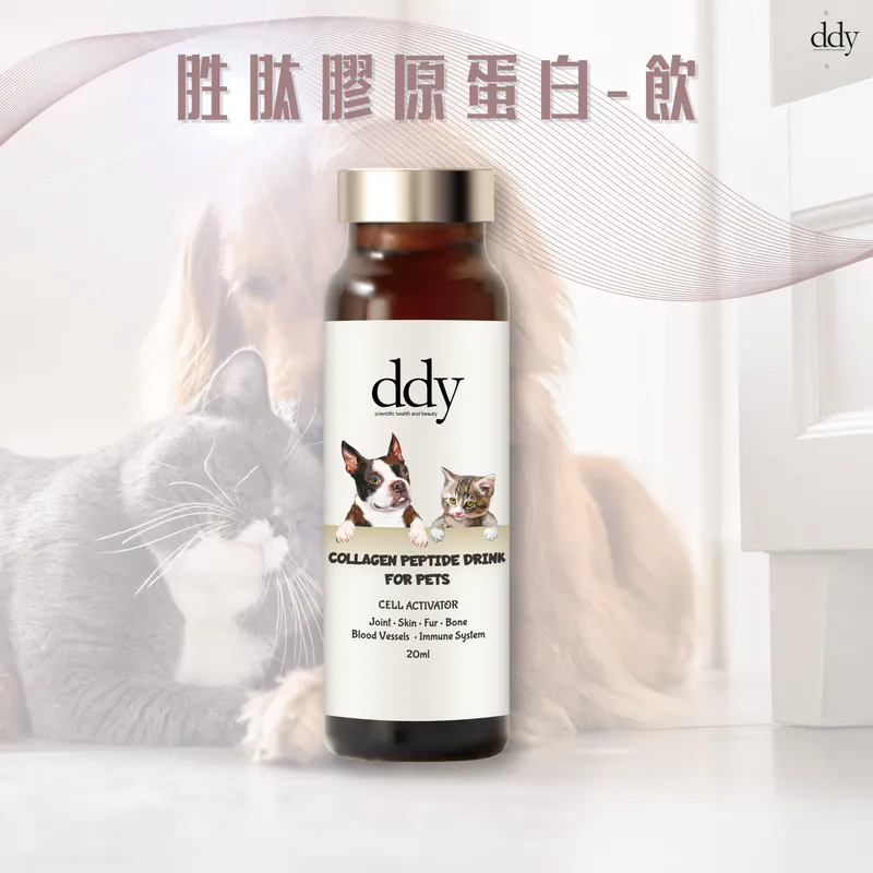 DDY - 胜肽膠原蛋白-飲 (20ml x 5支裝) (貓狗通用)