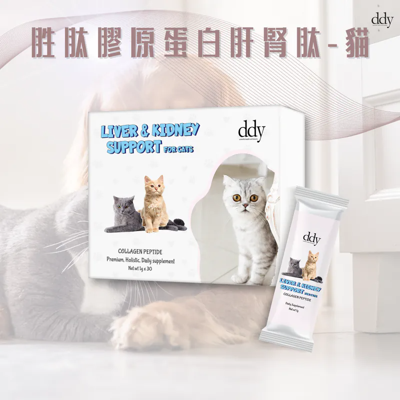 DDY - 胜肽膠原蛋白肝腎肽-貓 1g x 30包