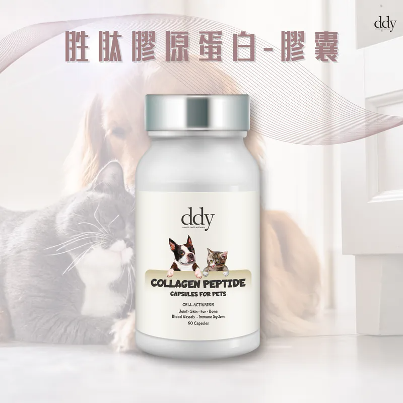 DDY - 胜肽膠原蛋白-膠囊 60粒裝 (貓狗通用)