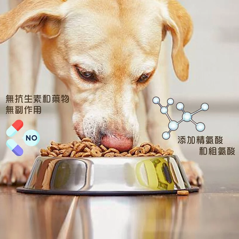 [2027既近期糧優惠] DDY - 胜肽膠原蛋白肝腎肽 (犬用) 1g x 30包