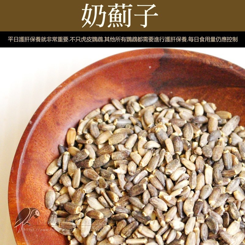 水飛奶薊子 肝臟守護神 鸚鵡零食 波力鸚鵡玩具生活館