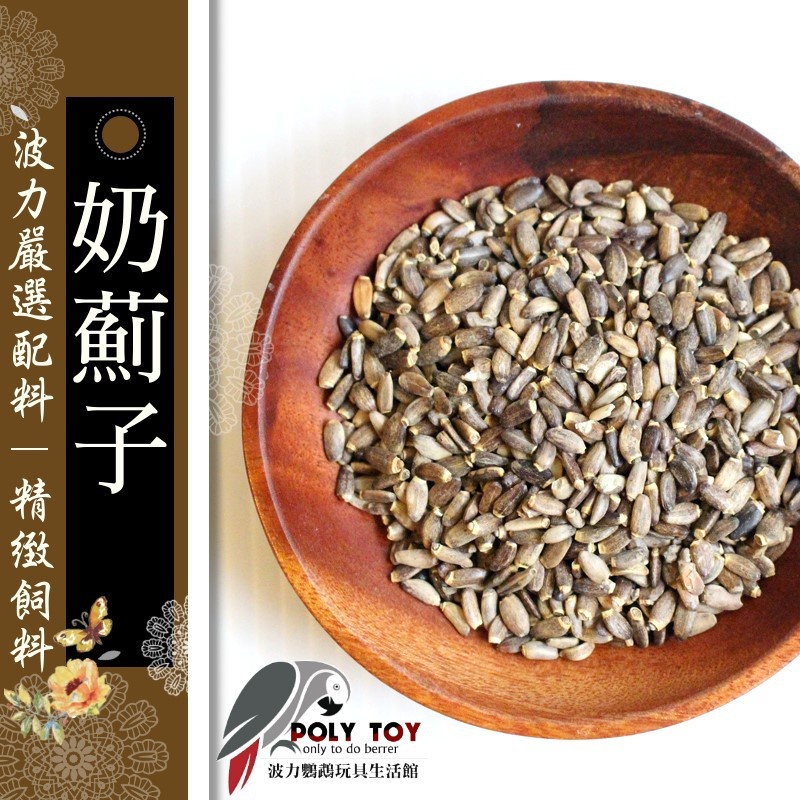 水飛奶薊子 肝臟守護神 鸚鵡零食 波力鸚鵡玩具生活館