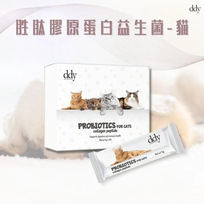 DDY - 胜肽膠原蛋白益生菌-貓 1g x 30包