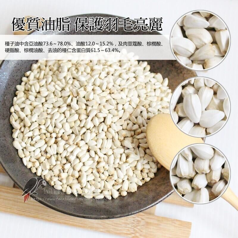 白花子 真空包裝 優質油脂 保護羽毛亮麗 啃咬零食系列 波力鸚鵡玩具生活館