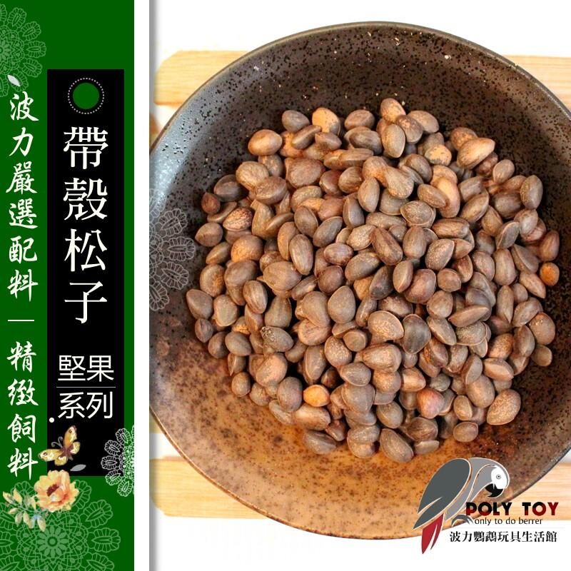 帶殼小顆松子 堅果系列 波力鸚鵡玩具生活館