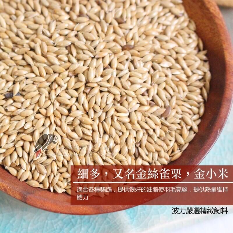 帶殼細多 加納利子 優質油脂 提供熱能 鸚鵡啃咬零食 波力鸚鵡玩具生活館