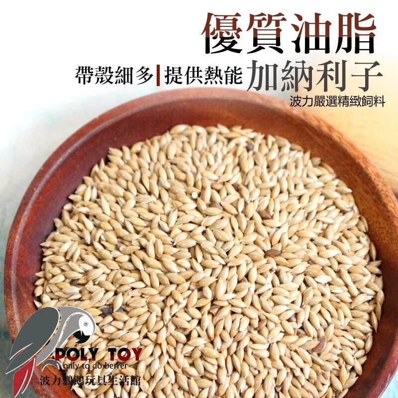 帶殼細多 加納利子 優質油脂 提供熱能 鸚鵡啃咬零食 波力鸚鵡玩具生活館