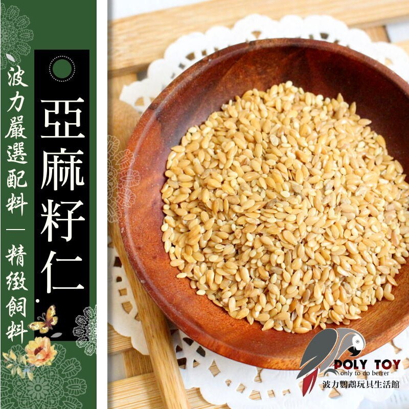 亞麻籽仁 適合所有鸚鵡 波力鸚鵡玩具生活館