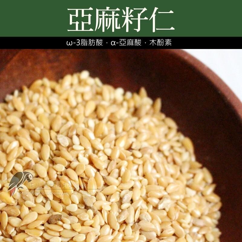 亞麻籽仁 適合所有鸚鵡 波力鸚鵡玩具生活館