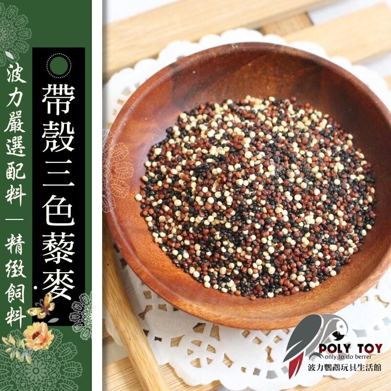 三色藜麥  鸚鵡專用 波力鸚鵡玩具生活館