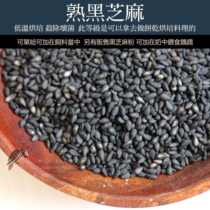 熟黑芝麻 堅果系列 波力鸚鵡玩具生活館