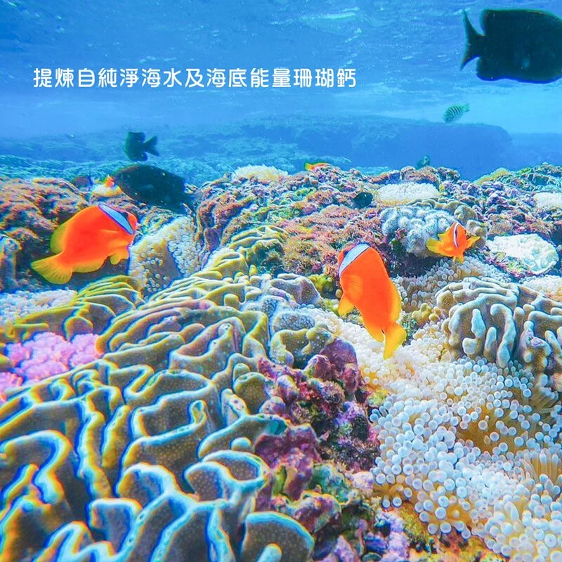 胜肽膠原蛋白-鈣鎂-犬 120粒裝