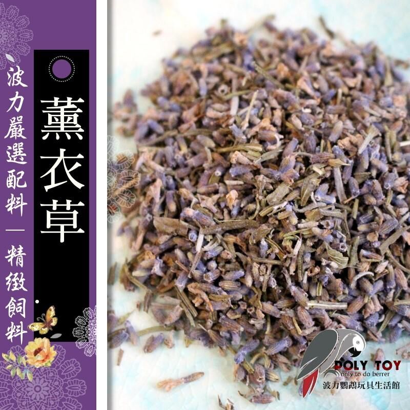 薰衣草 可食用 可泡茶 安定精神 波力鸚鵡玩具生活館