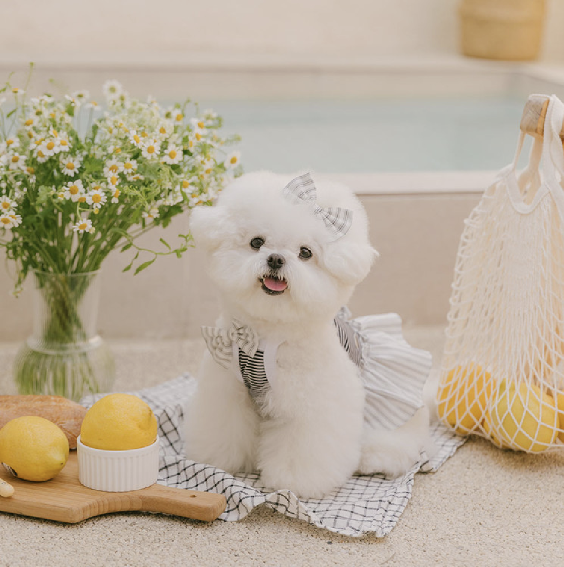 夏日涼感條紋連身裙