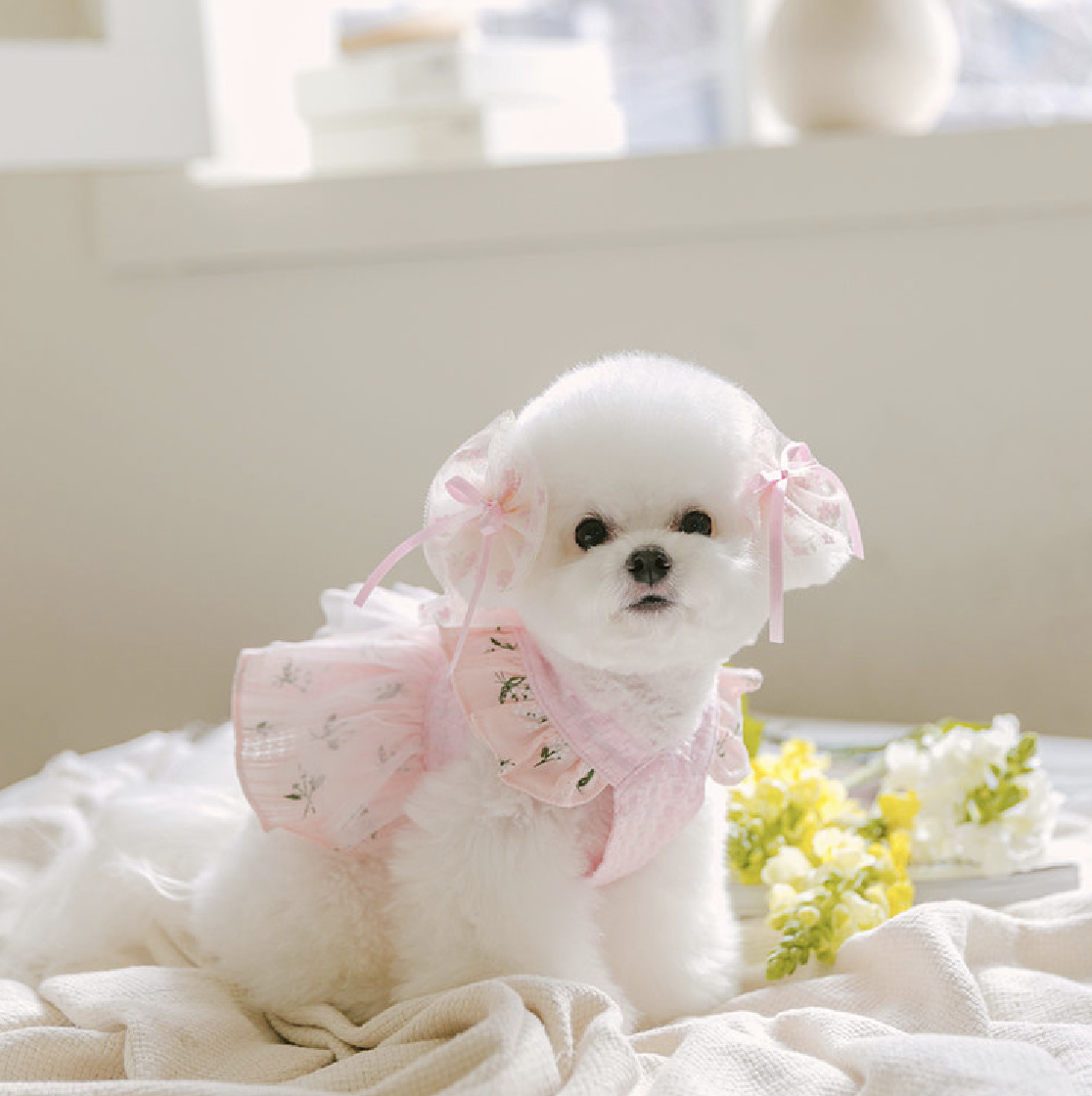 精靈洋裝（粉色/黃色）