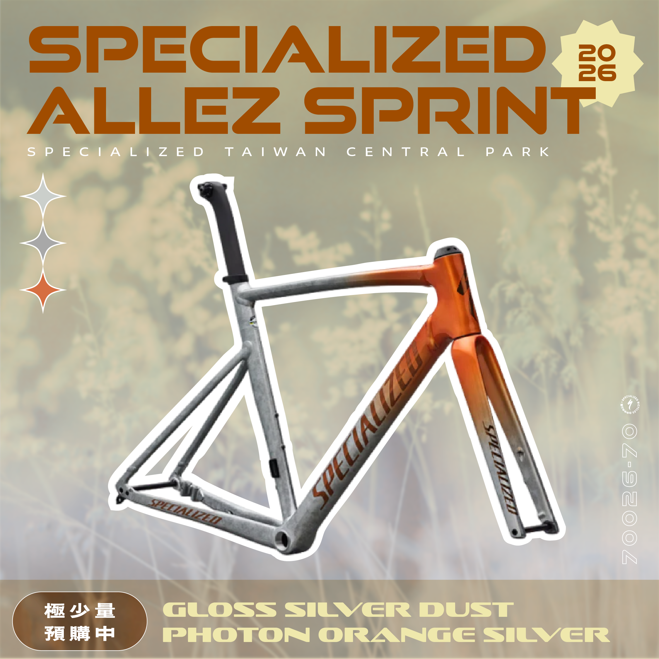 新色【Specialized】Allez Sprint 車架組 / 銀箔古銅