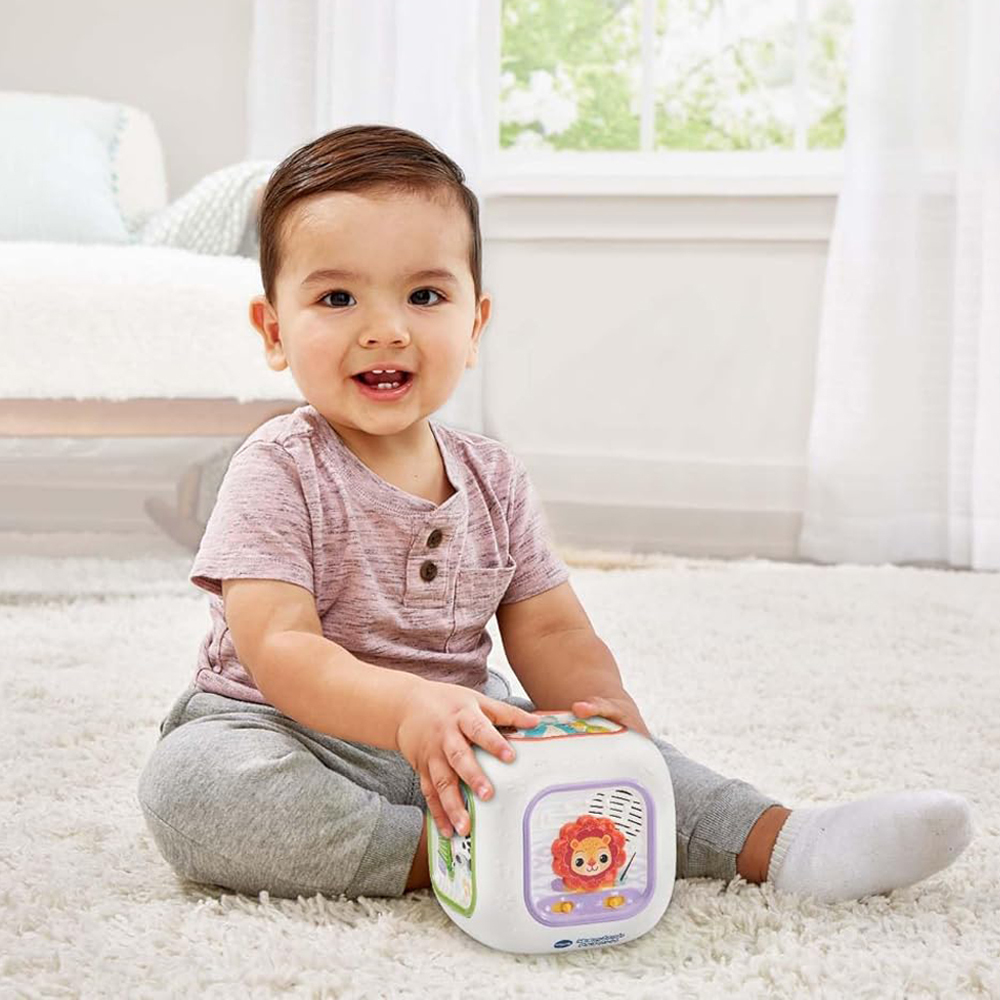 Vtech 動物樂隊音樂寶盒
