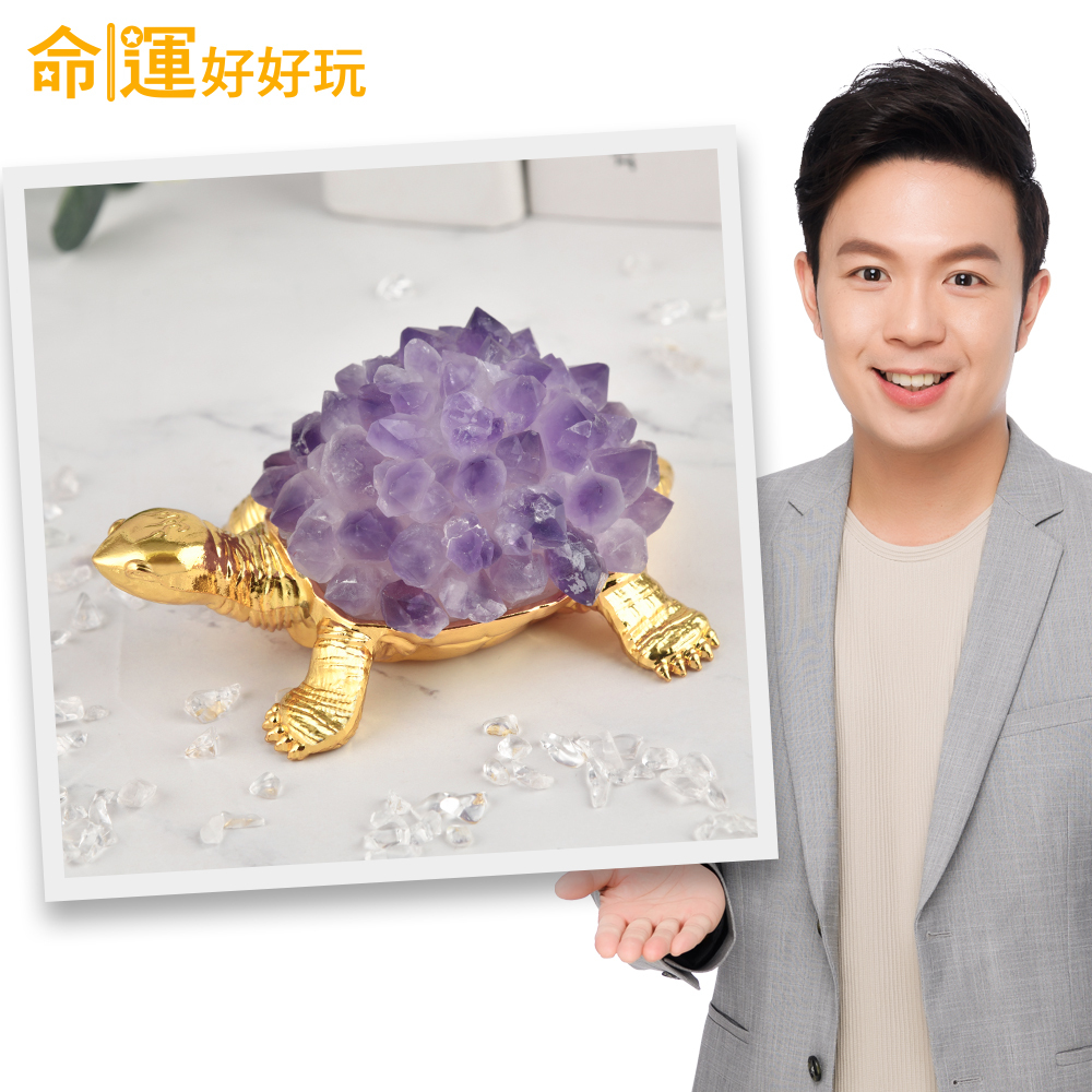 【命運好好玩】紫晶簇聚貴錢龜鎮 (廠商直出)