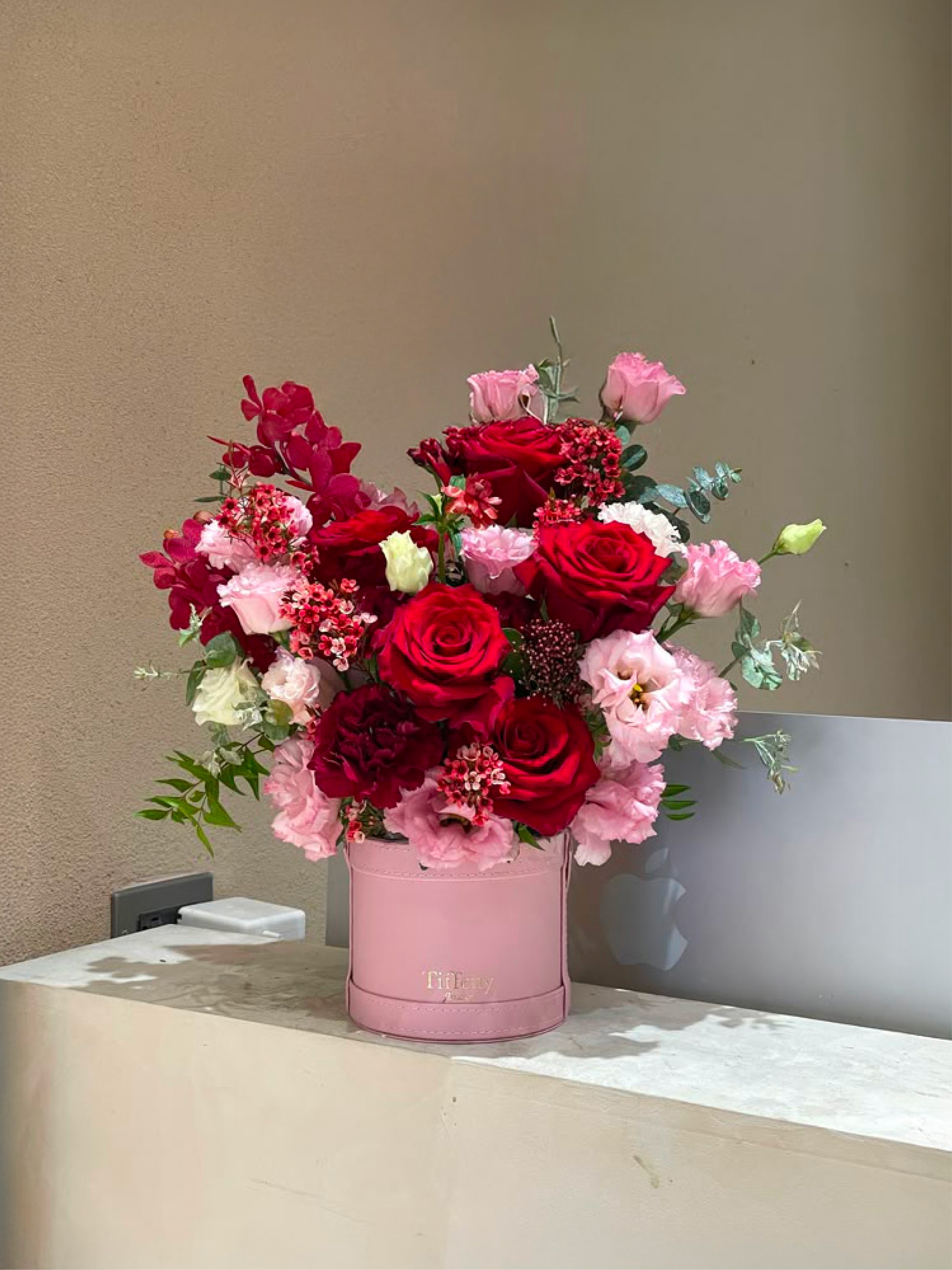 卡地亞紅盆花 鮮花盆花 開幕花禮