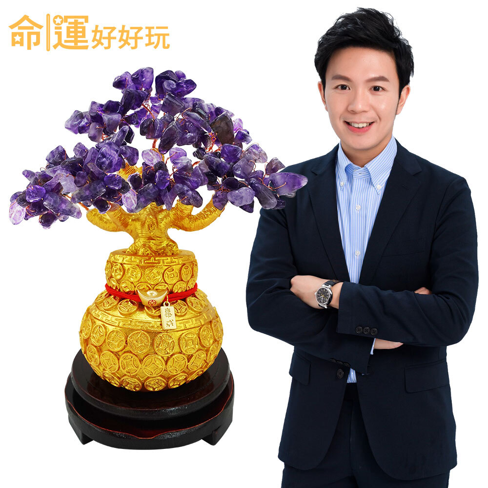 【命運好好玩】貴氣雲集紫晶搖錢樹 (廠商直出)