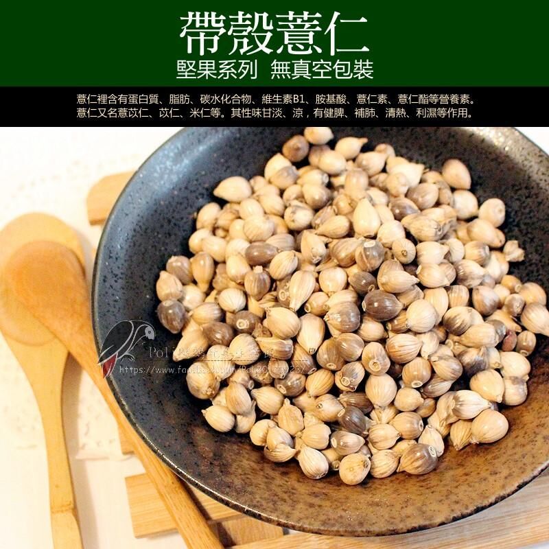 帶殼薏仁 堅果系列 波力鸚鵡玩具生活館