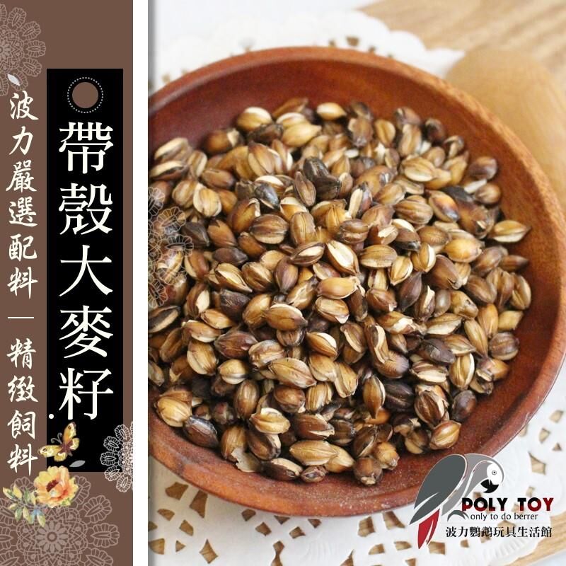 低溫烘培 大麥籽 帶殼  波力鸚鵡玩具生活館