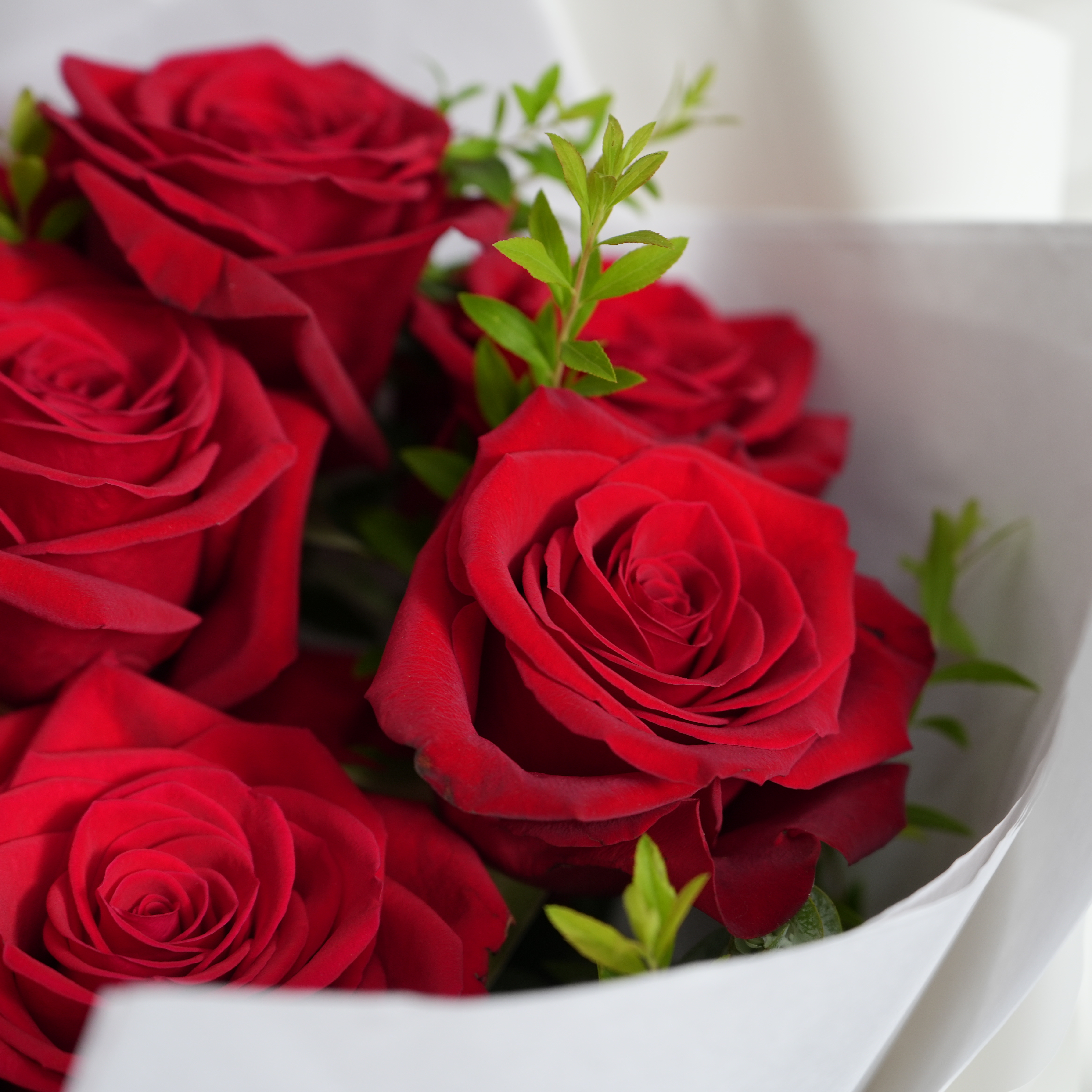 【2511FLOWER】暗戀花束