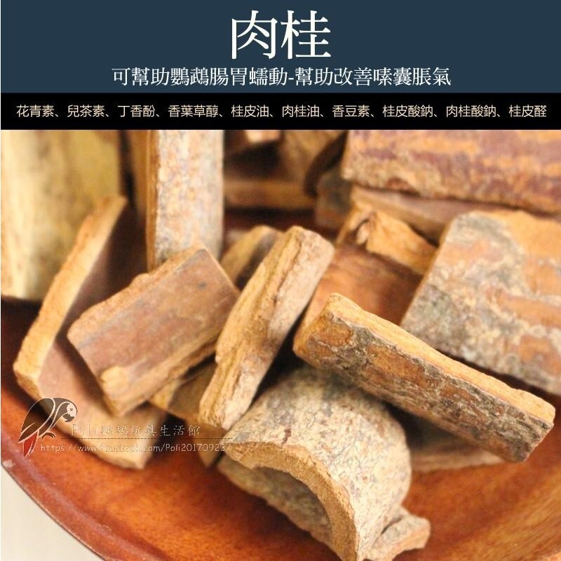 肉桂 鸚鵡補給品 波力鸚鵡玩具生活館