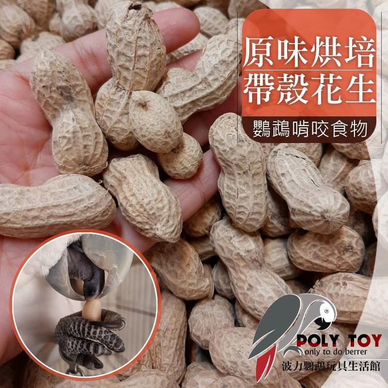 原味烘培帶殼花生 原味帶殼花生 帶殼花生 波力鸚鵡玩具生活館