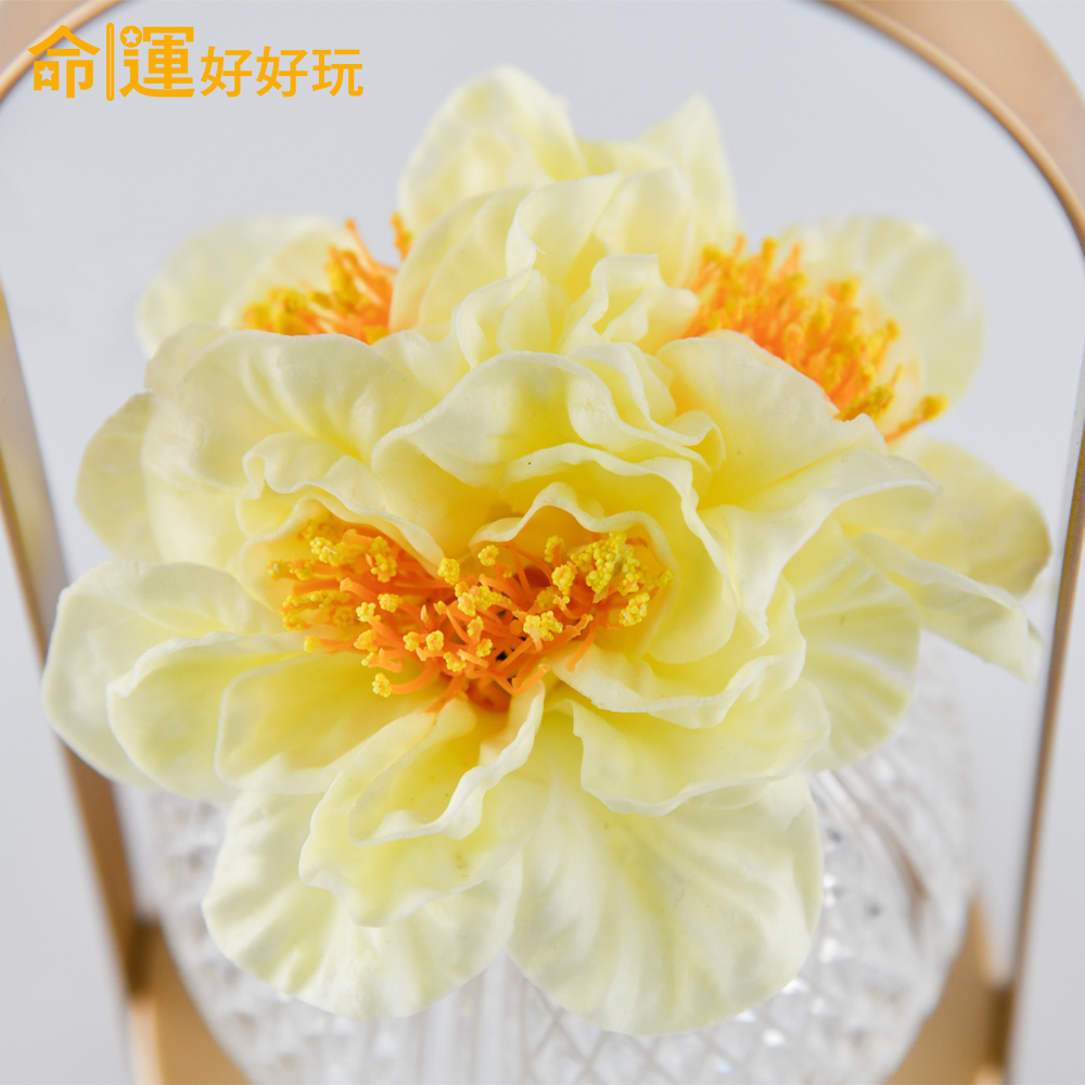 【命運好好玩】有錢花香氛桌燈 (廠商直出)