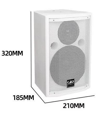 Glen Ralston KP406 6.5寸480W 全頻被動式喇叭