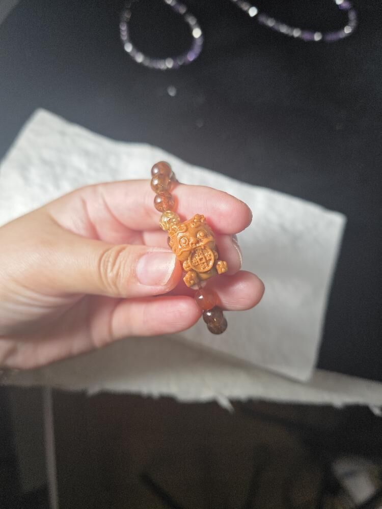 崖柏抱金獸 (保護錢 抱錢番來比你)