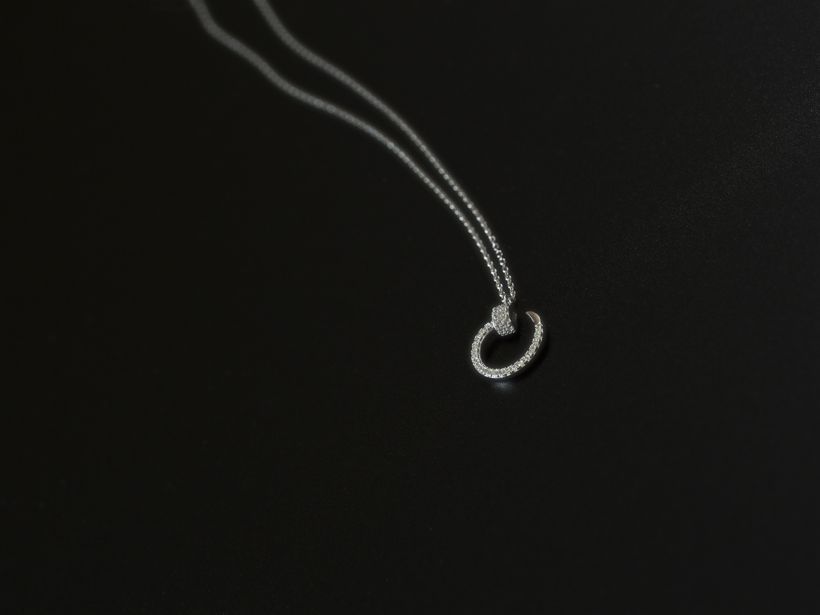 Brilliant Circle Hook 項鍊