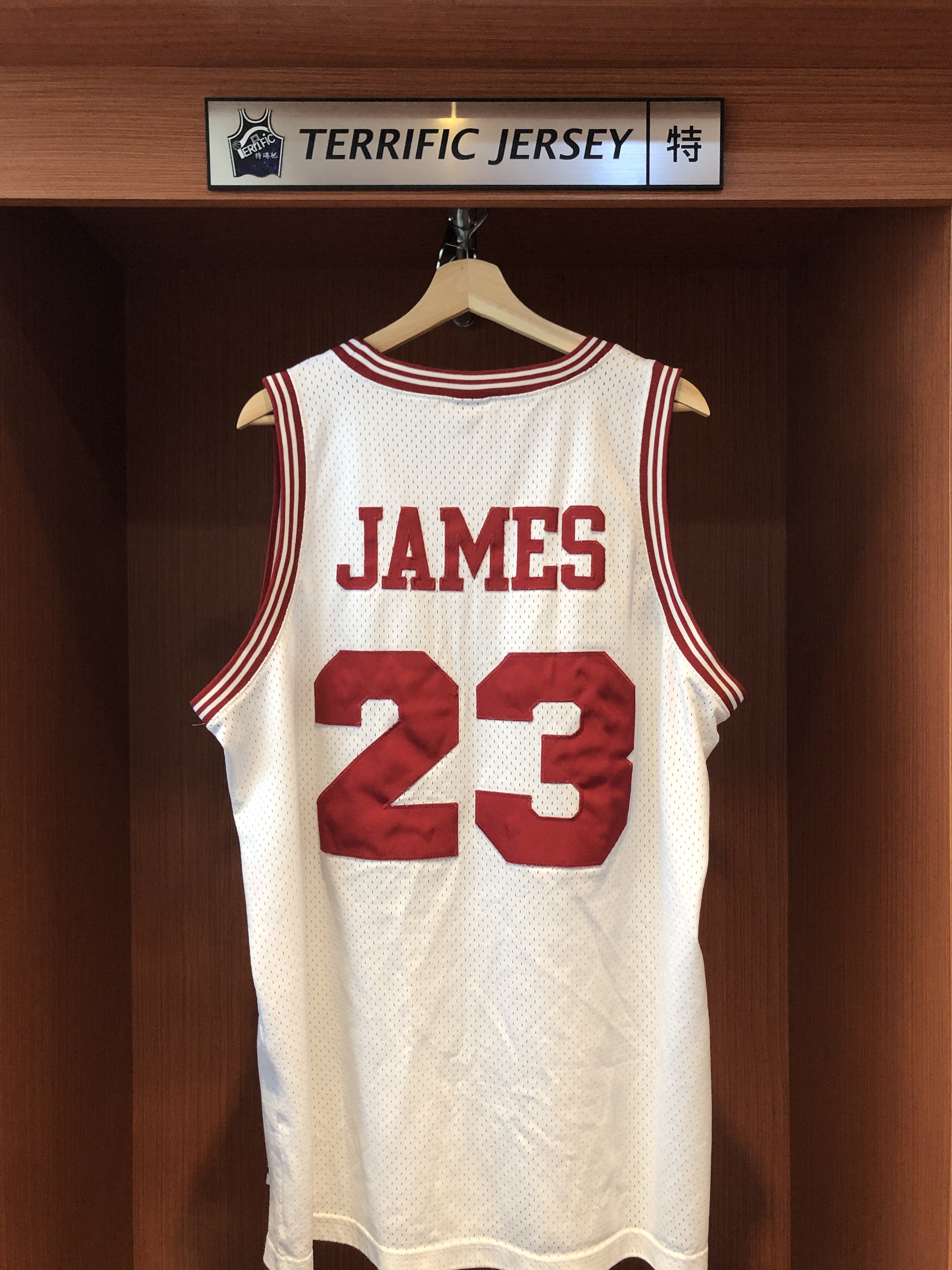 NBA球衣 二手 Lebron James 騎士異色 白羽毛 Nike Swingman 球迷版 電繡 二手 衣況如圖 請詳細參閱