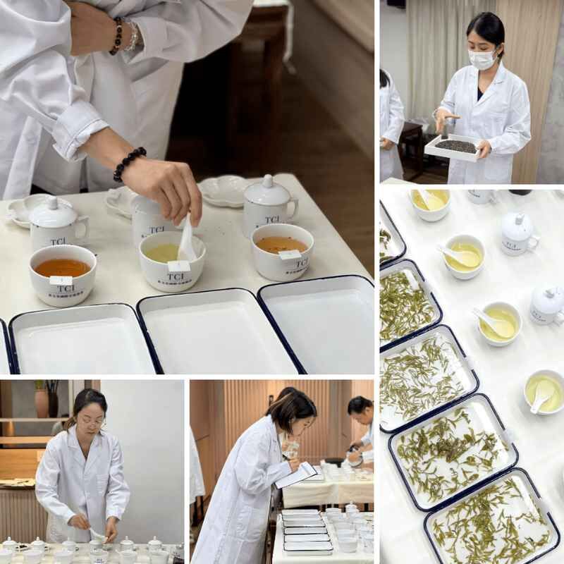 初級評茶師課程課堂實況｜瑜茶舍