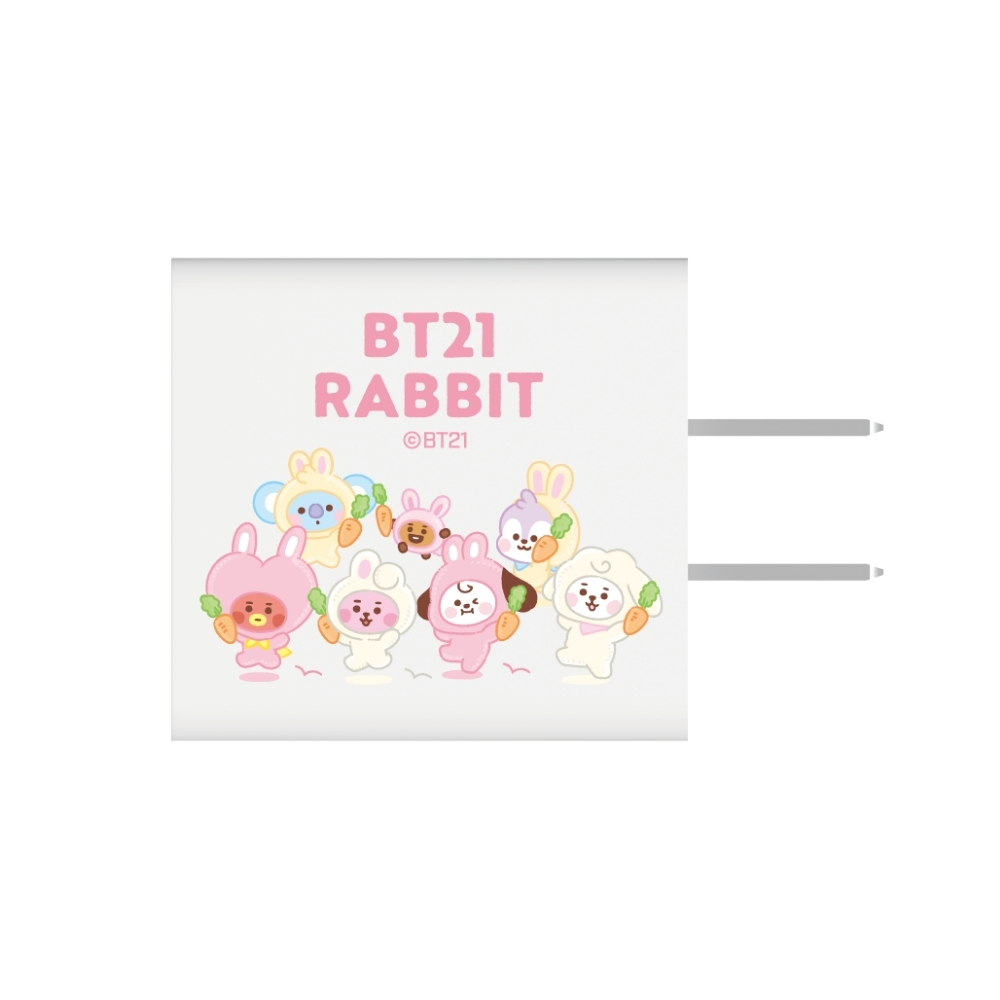 宇宙明星BT21 / 30W 雙孔快速PD電源供應器 - Rabbit
