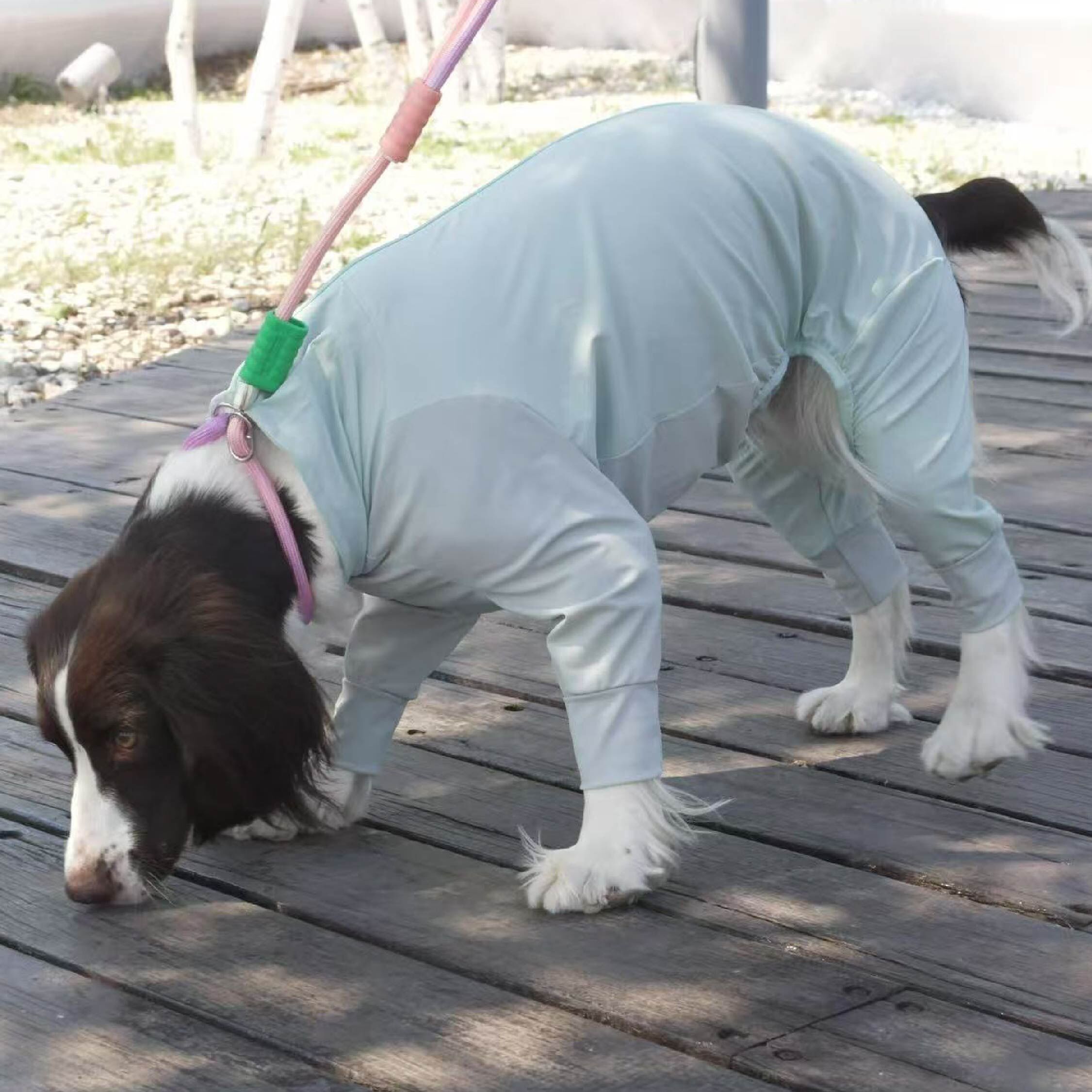 DOGKUMA - 狗狗防曬涼感四腳衣
