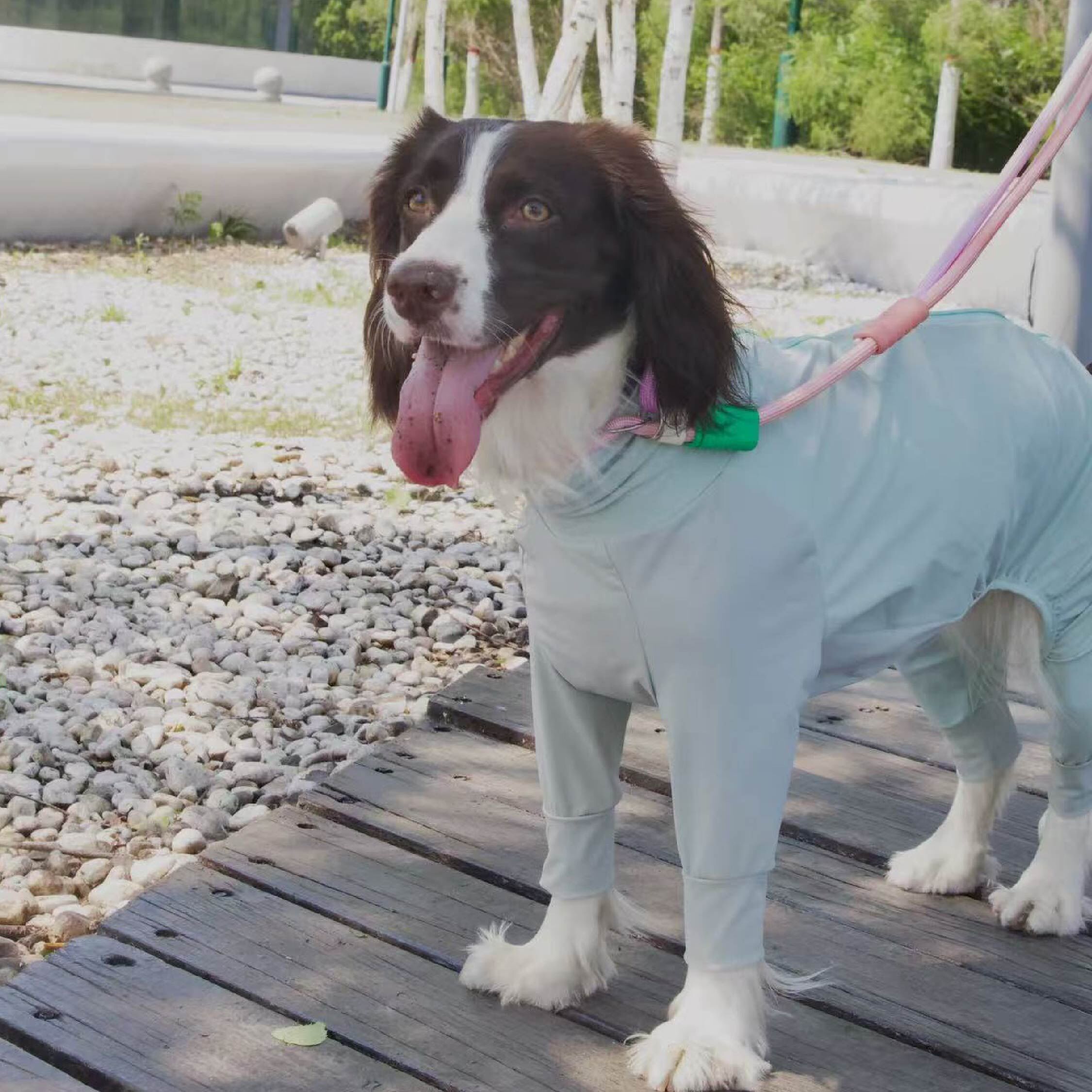 DOGKUMA - 狗狗防曬涼感四腳衣