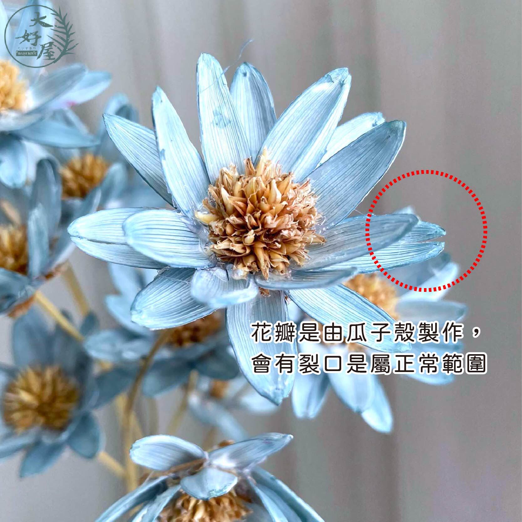 野菊花【10支裝】