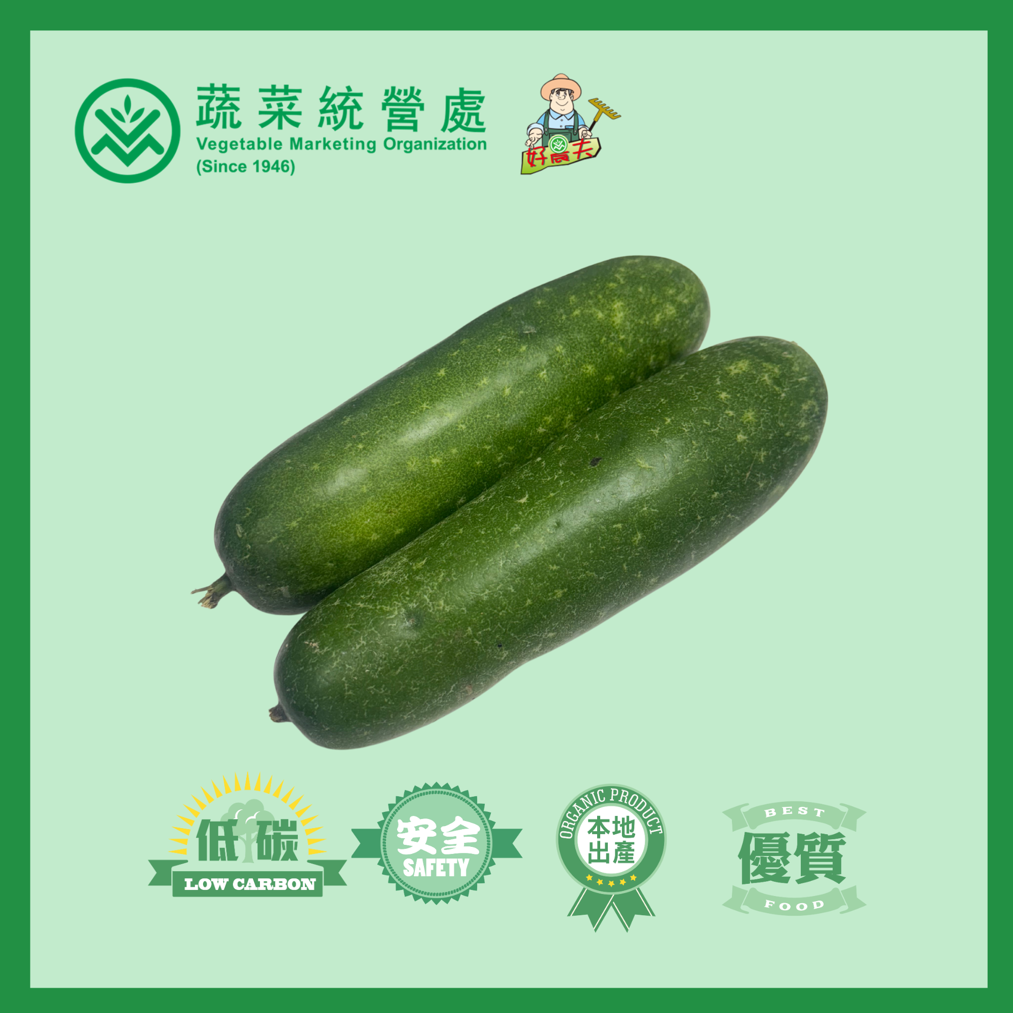 本地有機節瓜 (青皮/灰皮)  (3.5斤/個)