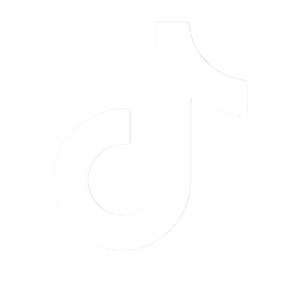 TikTok Icon