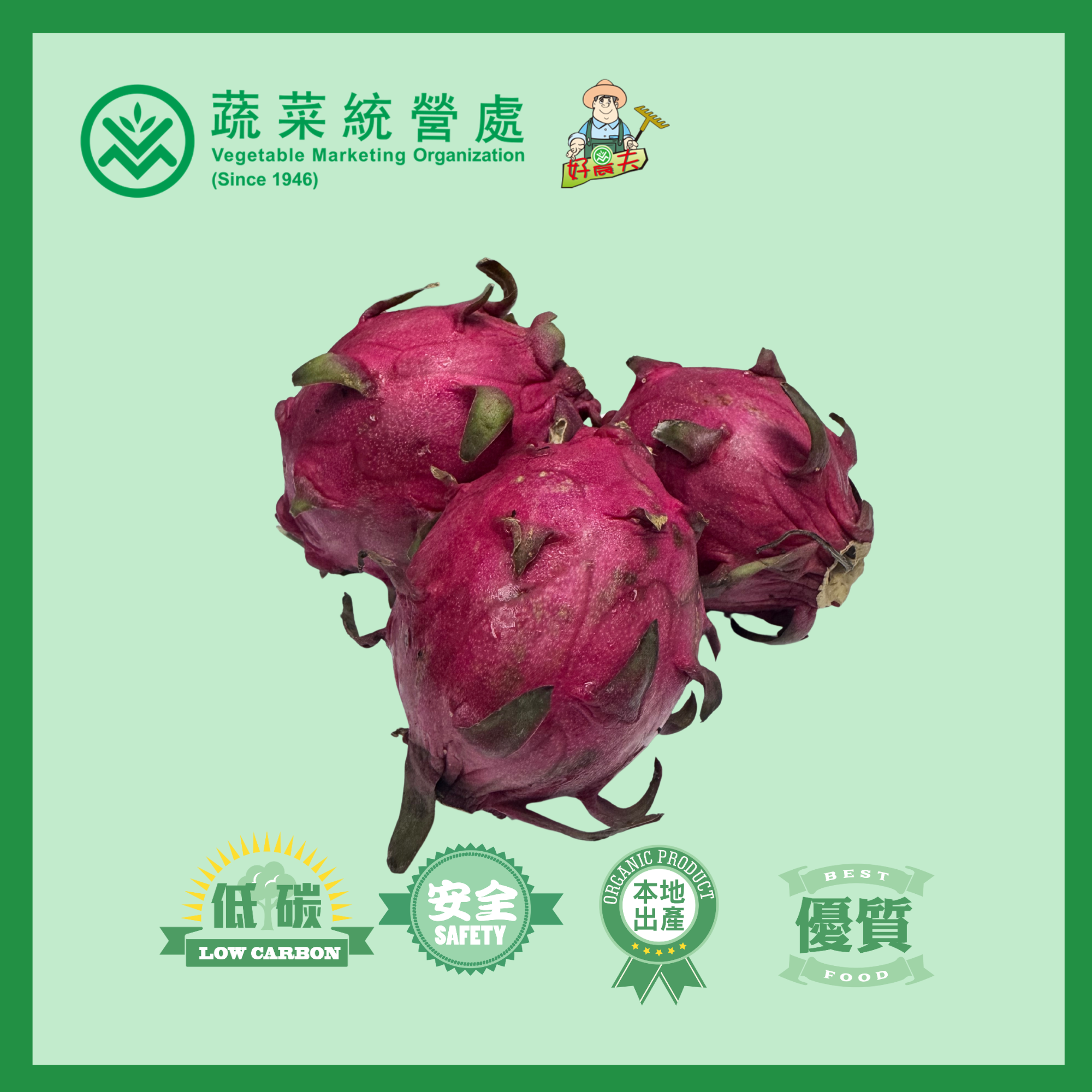 Local   Dragon Fruit (Red)  (約2catties/BAG)