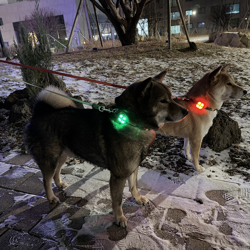 史努比寵物散步安全燈(三色）